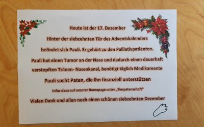 Heute ist der 17. Dezember und wir öffnen ein weiteres Türchen