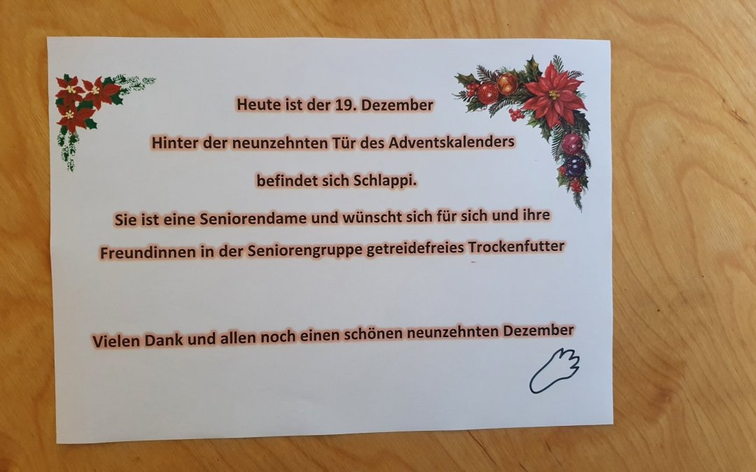 Heute ist der 19. Dezember und wir öffnen ein weiteres Türchen