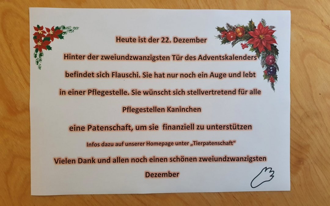 Heute ist der 22. Dezember und wir öffnen ein weiteres Türchen