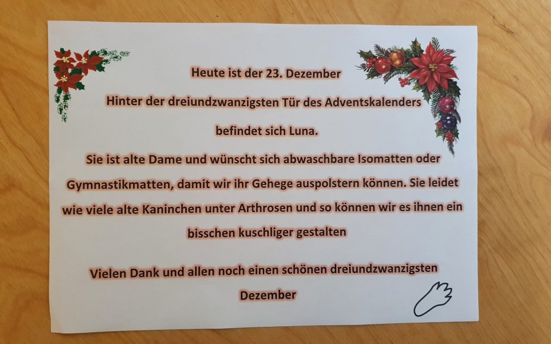 Heute ist der 23. Dezember und wir öffnen ein weiteres Türchen