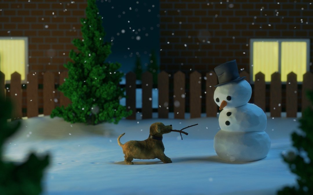 Weihnachtszeit im Tierheim