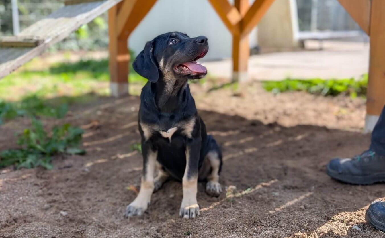 PXL_20250915_120200319.PORTRAIT