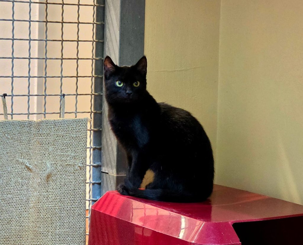 2f0dd70f-f97d-4d51-bc03-1194964cbf71 2