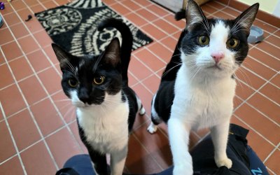 Sam & Dean – Freigänger