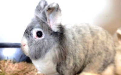 Zoe-zieht aus